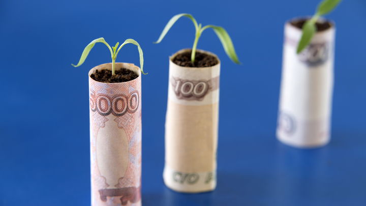 Петиция о продлении выплаты 10 тысяч на детей набирает популярность в Сети