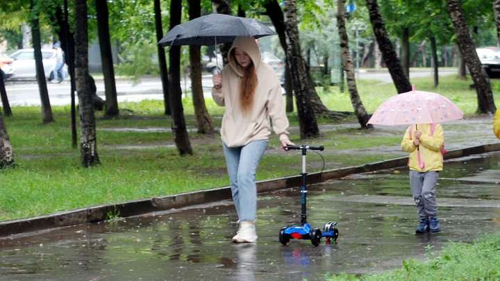 Из-за сильного ливня в Москве временно закрыли парк Горького
