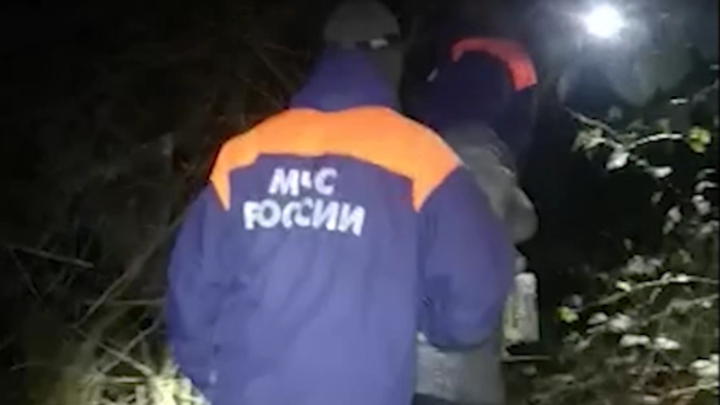 В Сочи женщину, заблудившуюся в лесу, отыскали собаки