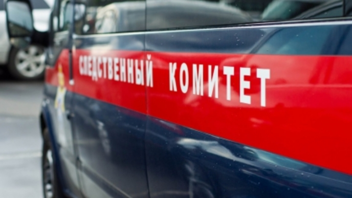 Ведётся доследственная проверка по факту смерти экс-главы Богородского района Пурихова в СИЗО