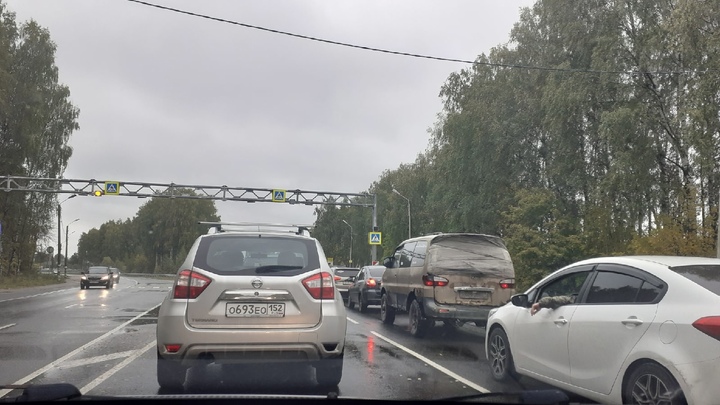 Почти 200 автомобильных номеров с кодом 252 выдали в Нижегородской области