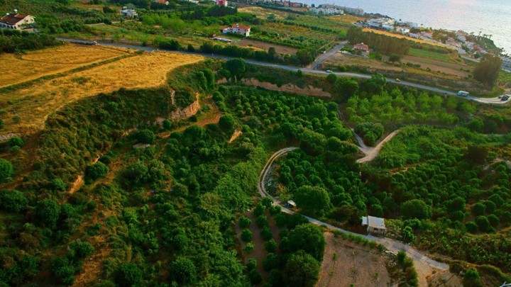 Турция призывает признать турок на Кипре - Anadolu