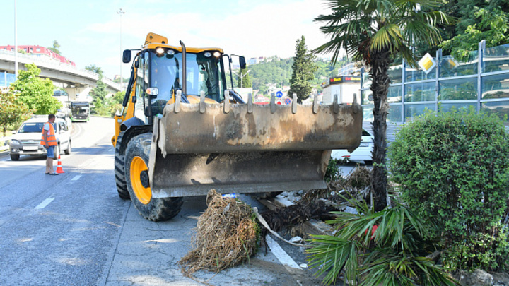В Сочи из-за наводнения оказались разбиты как минимум 90 машин