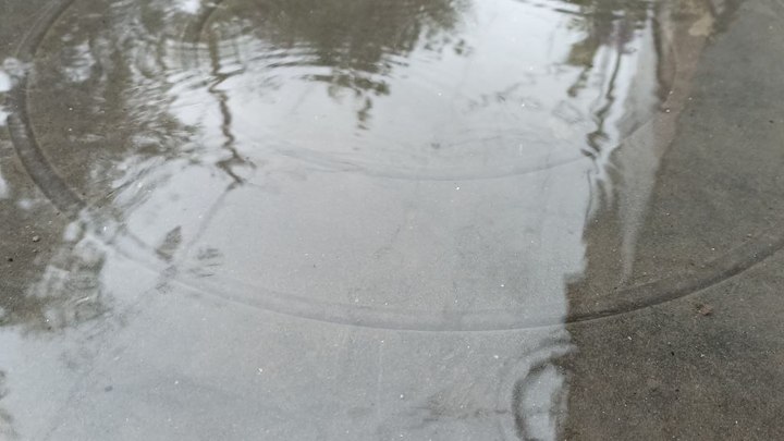 Погода в Ростове-на-Дону 16 июня 2022: прогноз синоптиков