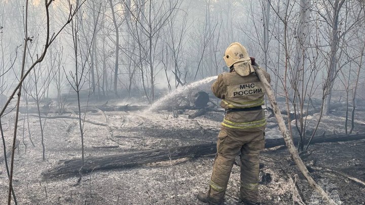 Пожарные локализовали огонь в тольяттинском лесу