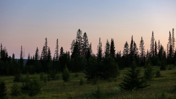 Нехорошее место в тайге на Урале: На секунду отвлёкся, и природа спрятала дорогу. Там турист исчез на неделю