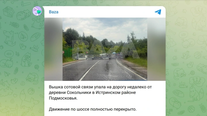 Вышка сотовой связи упала в Истринском районе и перегородила дорогу