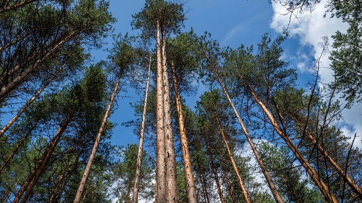 Поиски пропавшего в Екатеринбурге бизнесмена прекращены