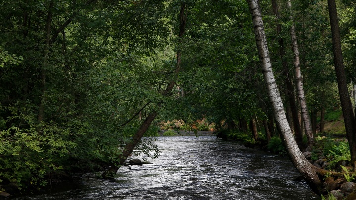 Нижегородскую реку Борзовку расчистят до конца 2023 года