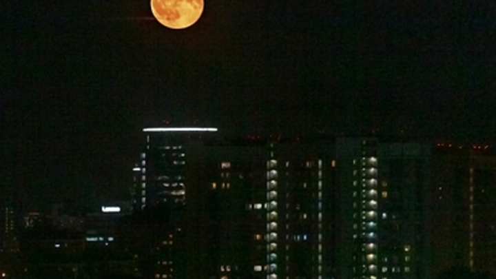 Вошла в подъезд и испарилась: 14 лет назад в Новосибирске пропала молодая женщина