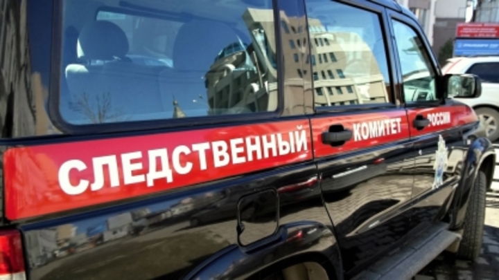 В Ленобласти собака нашла останки человека: неизвестный закопал труп возле стройплощадки