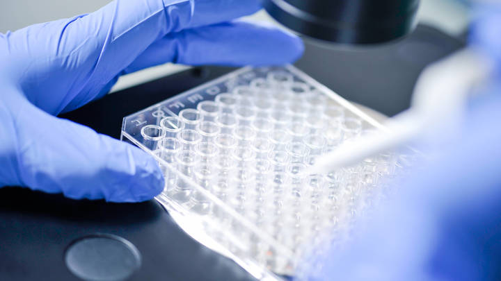 Пророчество Мясникова уже сбывается? Польша обнаружила нового носителя коронавируса