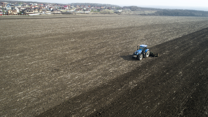 Путин на страхи мира перед голодом дал прогноз о рекордном урожае