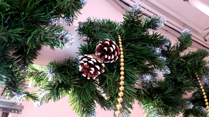 У главной ёлки Петербурга открывается Новогодняя почта