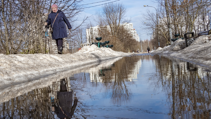 Во Владимирскую область идет серьёзная оттепель