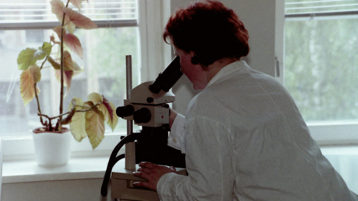 Новая терапевтическая вакцина успешно справляется с предраковыми изменениями