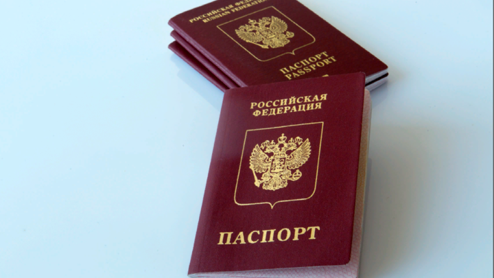 Лишение гражданства России по новым основаниям: Чего хотят добиться депутаты?
