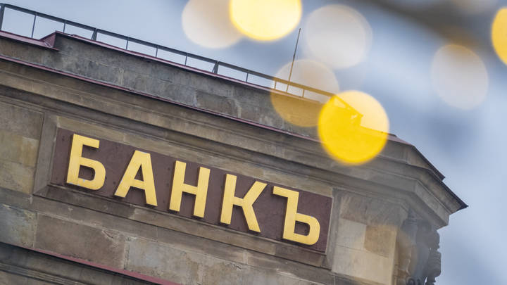 Кубань – на первом месте: В Краснодарском крае малому и среднему бизнесу выдали 31,8 млрд руб помощи