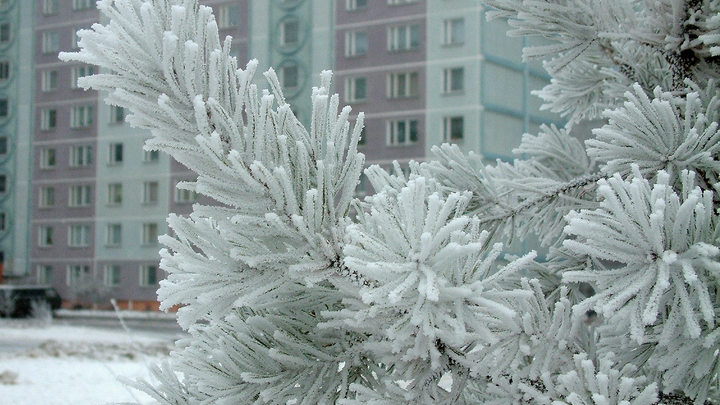 Владивосток окатило ледяным дождём: Десятки искорёженных машин и каток на тротуарах