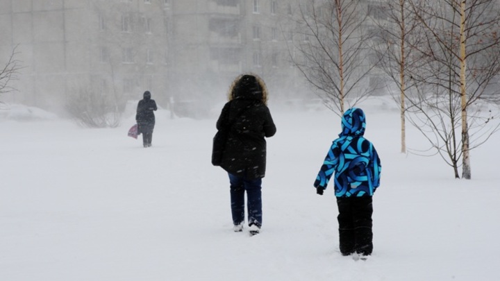 Жителей 15 регионов предупредили о разрушительном штормовом ветре