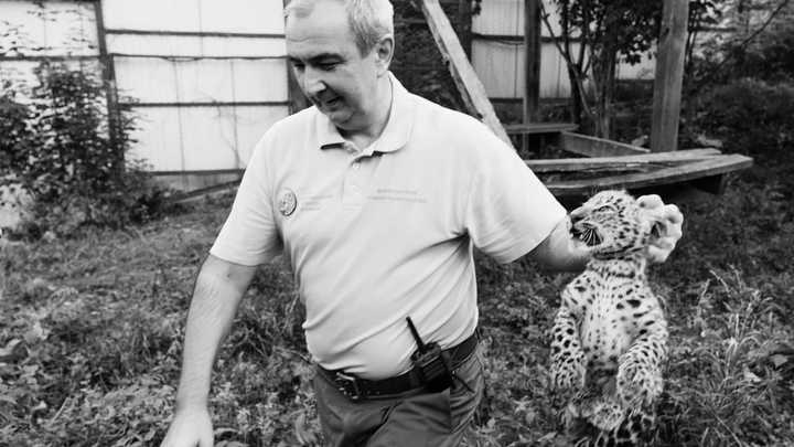 В Сочи умер руководитель Центра восстановления леопардов на Кавказе Умар Семёнов