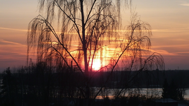 На своём лимузине: Бабушка-водитель, покорившая Сеть, рассказала о поездке с Хоценко