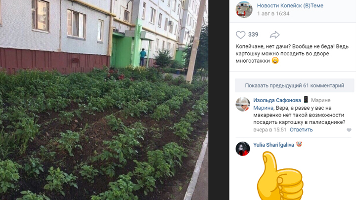 Жители Копейска устроили картофельное поле прямо во дворе многоэтажки