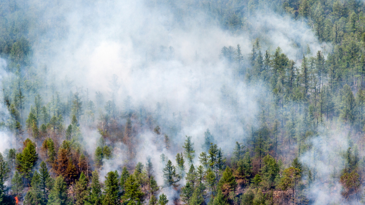 Жителей Магнитогорска попросили забрать домой эвакуированных из лагеря детей