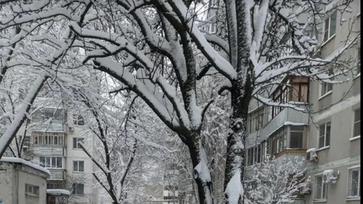 Погода в Ростове-на-Дону 21 января 2022: прогноз синоптиков