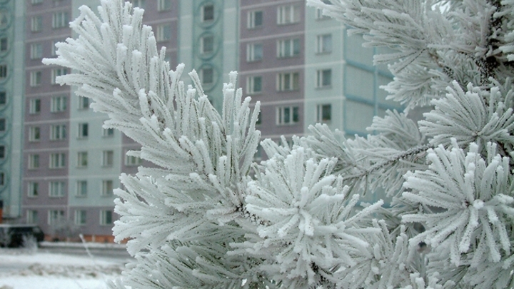 Морозы до -37 градусов ударят в Забайкалье в воскресенье, 27 ноября