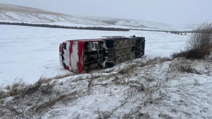 В Забайкалье автобус с вахтовиками перевернулся из-за коровы: 8 пострадали