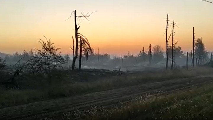 Площадь лесного пожара в Каменском районе выросла до 50 гектаров