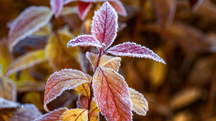 В Самарской области ожидаются дожди, туман и ночные заморозки