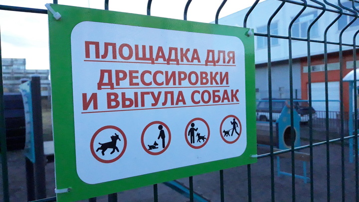 В Кургане определили места для площадок для выгула собак