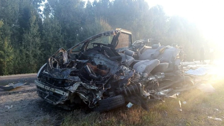 Грузовик взорвался на трассе в Курганской области, погибли два человека