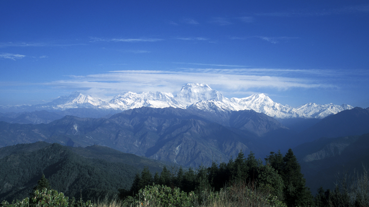 В горах Непала русская альпинистка Оленева упала в ледяную расщелину