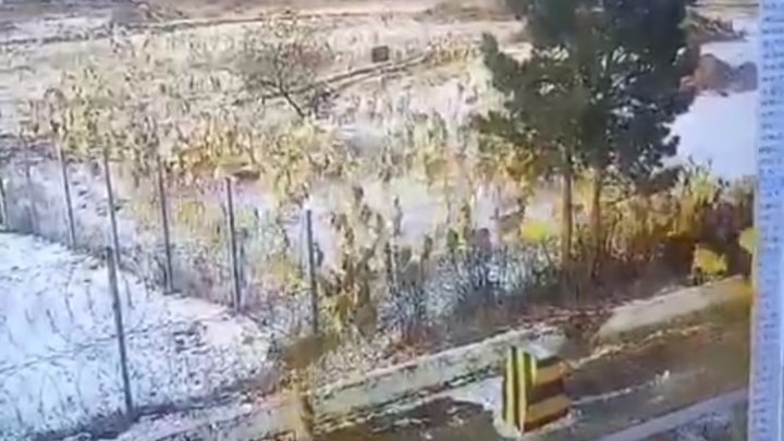В Забайкалье засняли миграцию полчища дзеренов через Харанорскую ГРЭС