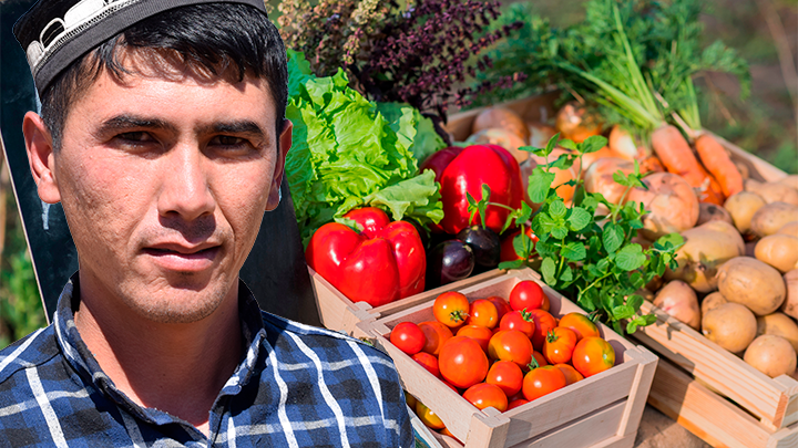 Настоящие бакинские – мамой клянусь!: Торговец рассказал, что продают под видом отборных помидоров