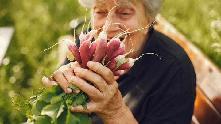 Названо лучшее хобби для пожилых людей, которое делает их счастливее