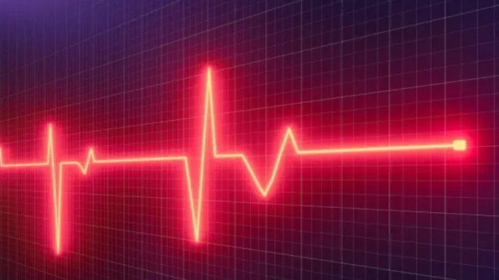 В США избранный мэр города в Айдахо умер на глазах у избирателей