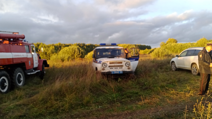 За два дня во Владимирской области пропали три компании грибников с детьми