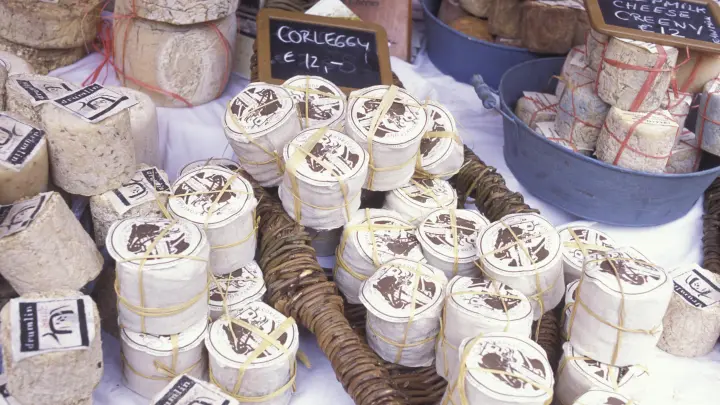 Почему молочку из Ирландии везут домой вместо сувениров? Русская студентка разгадала секрет