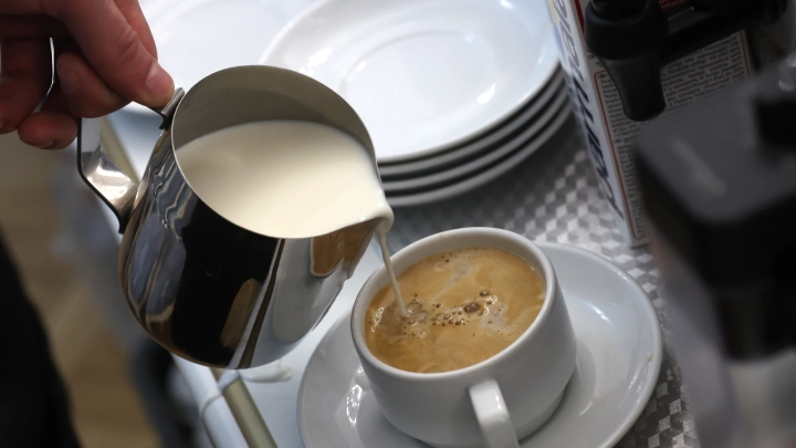 Музей начал продавать кофе с толчеными тараканами: сколько стоит, где наливают