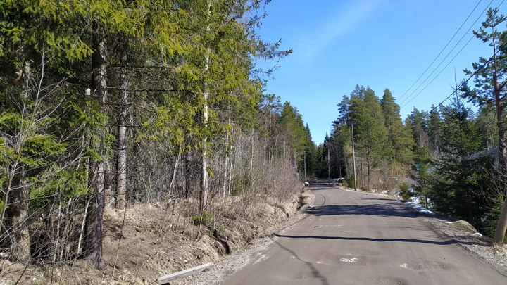 Водитель обнаружил трупы мужчины и женщины на дороге под Дмитровом