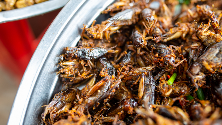 Отвратительное меню для немца и.. русского? Сверчок на обед, человечина – на ужин