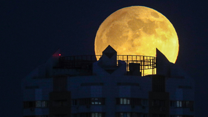 Целитель в погонах рассказал о рептилоидах после поста Медведева