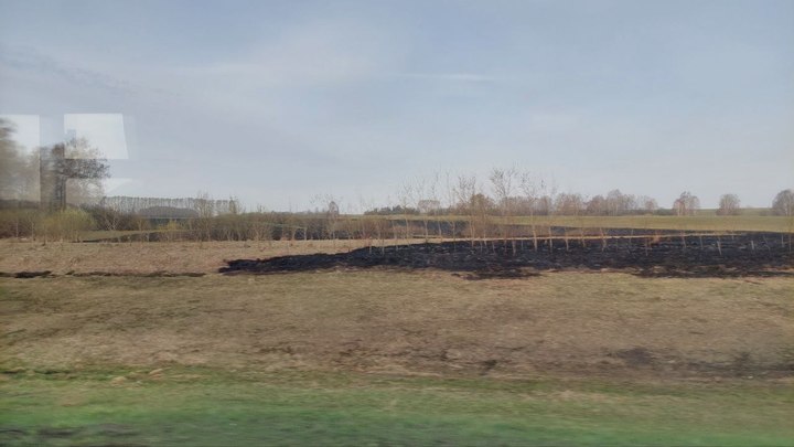 В Кузбассе на 9 мая объявлен высший 5 класс пожароопасности