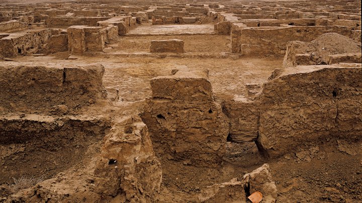 Археологическая сенсация: Русские учёные нашли то, что искали 100 лет