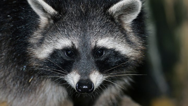 Секретные кадры из Херсона: Русский спецназ провёл спасательную операцию