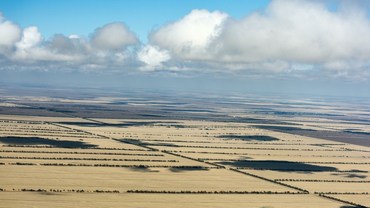 Бизнесу предоставят льготные ставки для аренды земельных участков на Кубани